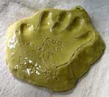 �T�ԁ@���P��