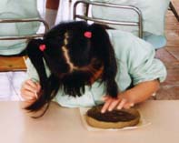 ���J�Ɏ蒼��