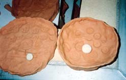 ���M�̗q����