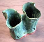 �g���R������