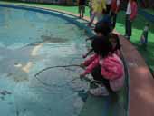 �N���b�N����Ƒ傫���Ȃ�܂�