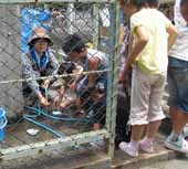 �N���b�N����Ƒ傫���Ȃ�܂�