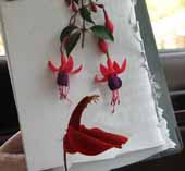 �N���b�N����Ƒ傫���Ȃ�܂�