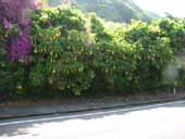 �N���b�N����Ƒ傫���Ȃ�܂�