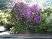 �N���b�N����Ƒ傫���Ȃ�܂�