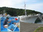 �N���b�N����Ƒ傫���Ȃ�܂�