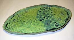 2��16���@�R�ȋ����̍�i